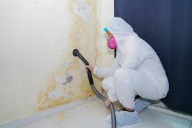 Best Mold Remediation for Healthcare Facilities  in Santa Clarita, CA